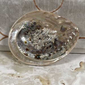 1 Natural Large Red Abalone Shell Iridescent Pink Color 5”x4” Sea Ocean Beach